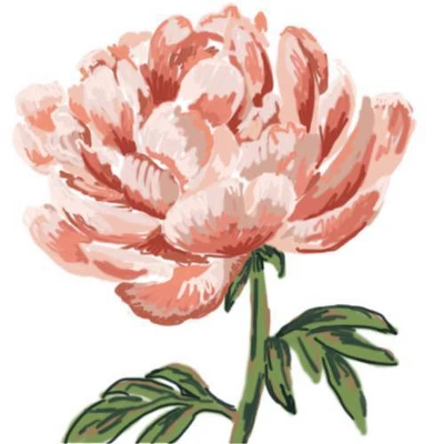 Nadia M Lopez Peony Bloom Shower Curtain Pink - Deny Designs 2 Nadia M Lopez Peony Bloom Shower Curtain Pink - Deny Designs - Image 2