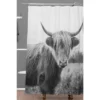 Chelsea Victoria Highland Cow Shower Curtain Black/White - Deny Designs