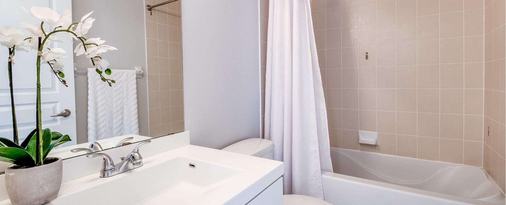 Deny Designs Sales -Deny Designs Sales condo 3499679 1920